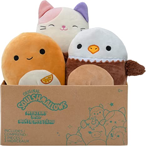 Squishmallows Mystery Box | Gift Ideas for Teens: The 40+ Best Gifts for Teenagers | Basic Housewife