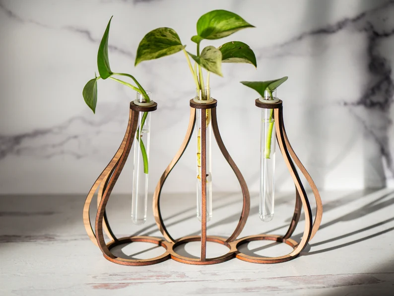 Minimalist Propagation Station | 25 Unique Gifts for Plant Lovers | BasicHousewife